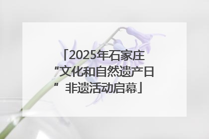 2025年石家庄“文化和自然遗产日”非遗活动启幕