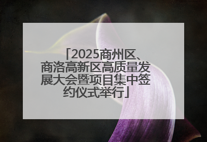 2025商州区、商洛高新区高质量发展大会暨项目集中签约仪式举行