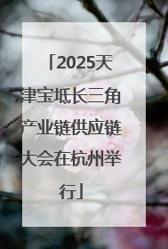 2025天津宝坻长三角产业链供应链大会在杭州举行