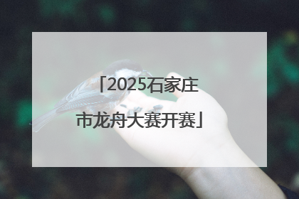 2025石家庄市龙舟大赛开赛