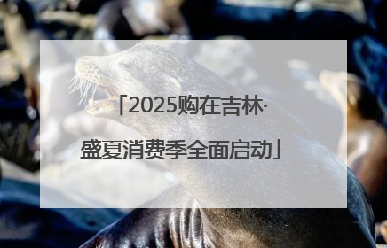 2025购在吉林·盛夏消费季全面启动