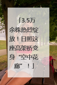 3.5万余株热烈绽放！日照这座高架桥变身“空中花廊”！