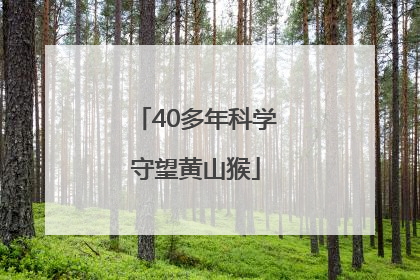 40多年科学守望黄山猴
