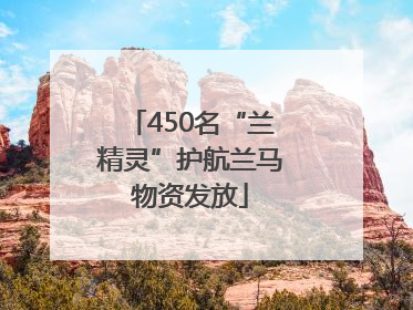 450名“兰精灵”护航兰马物资发放