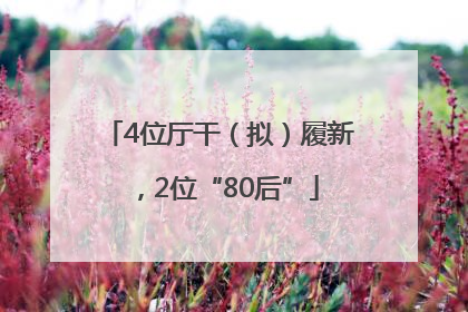 4位厅干（拟）履新，2位“80后”