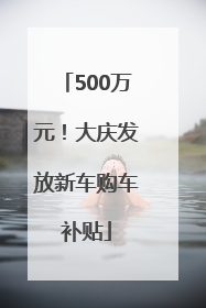 500万元！大庆发放新车购车补贴