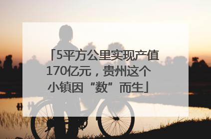5平方公里实现产值170亿元，贵州这个小镇因“数”而生