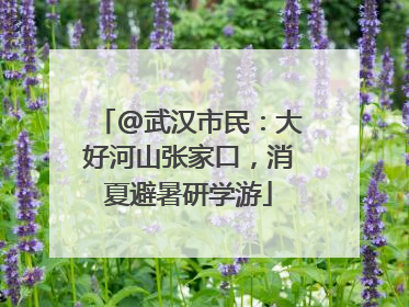 @武汉市民：大好河山张家口，消夏避暑研学游