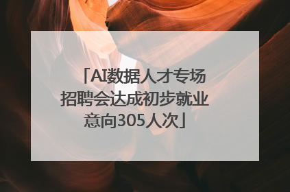 AI数据人才专场招聘会达成初步就业意向305人次