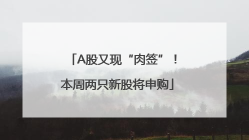 A股又现“肉签”！本周两只新股将申购