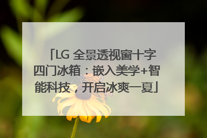 LG 全景透视窗十字四门冰箱：嵌入美学+智能科技，开启冰爽一夏