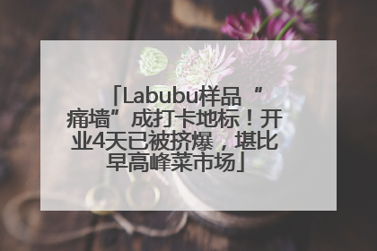 Labubu样品“痛墙”成打卡地标！开业4天已被挤爆，堪比早高峰菜市场