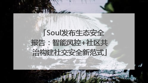 Soul发布生态安全报告：智能风控+社区共治构建社交安全新范式