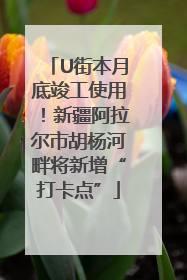 U街本月底竣工使用！新疆阿拉尔市胡杨河畔将新增“打卡点”